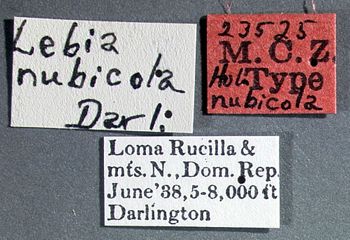 Media type: image;   Entomology 23525 Aspect: labels
